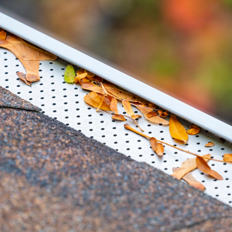 gutter cover cleaning